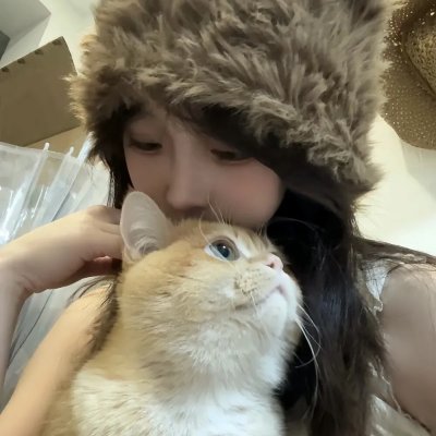 诱捕正义