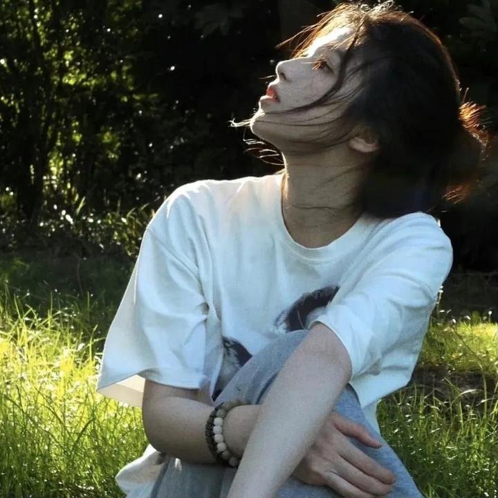 蠢狗记